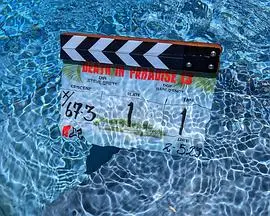 《天堂岛疑云第十三季》：阳光下的罪恶升级！加勒比海滩再掀破案风暴，侦探惊喜回归！