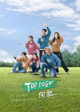 《TOP DOG》：一条狗的逆袭之路，是血赚还是拉胯？看完我惊了！