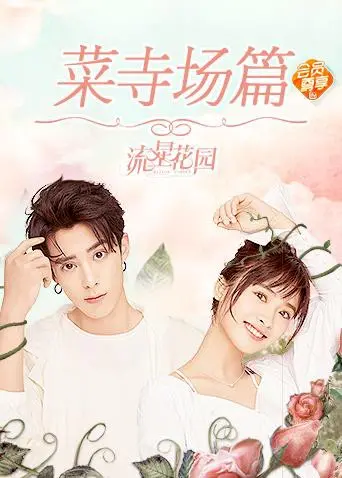 《星花园菜寺场篇》：青春偶像剧的爆笑反转，一场关于梦想与成长的音乐冒险！